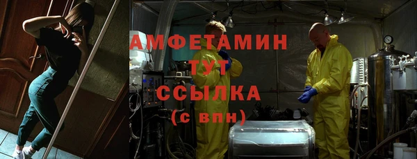 мдпв Богданович