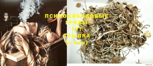 ALPHA PVP Богородицк