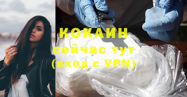 мдпв Богданович